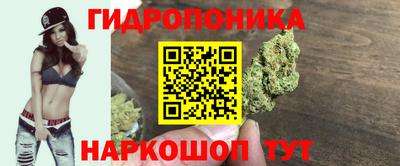 скорость Гагарин