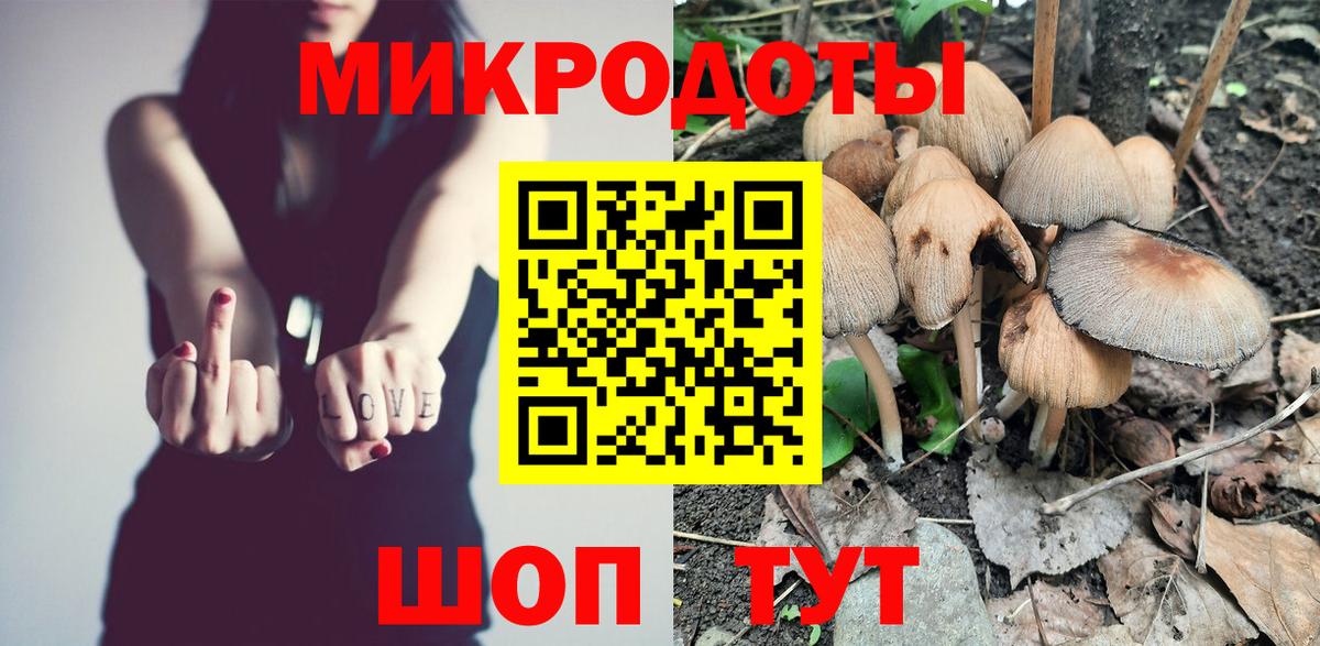 Галлюциногенные грибы мицелий Дивногорск