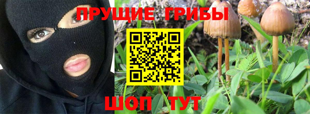 Дивногорск  Галлюциногенные грибы прущие грибы  Вход с VPN  Псилоцибиновые грибы мицелий 